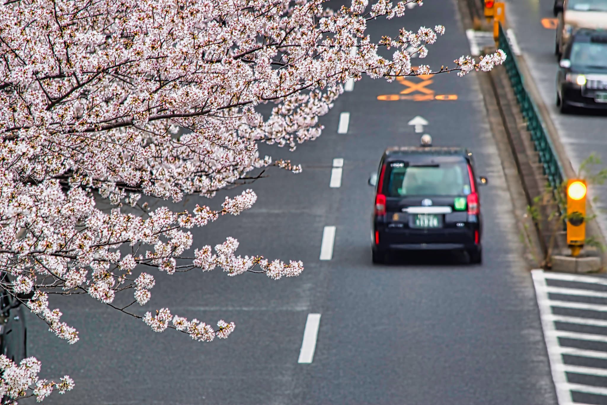 メインビジュアル画像